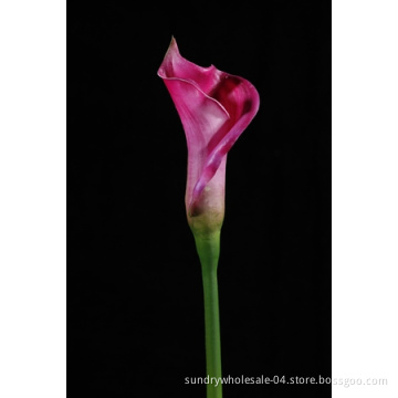 Floramatique Calla Flower